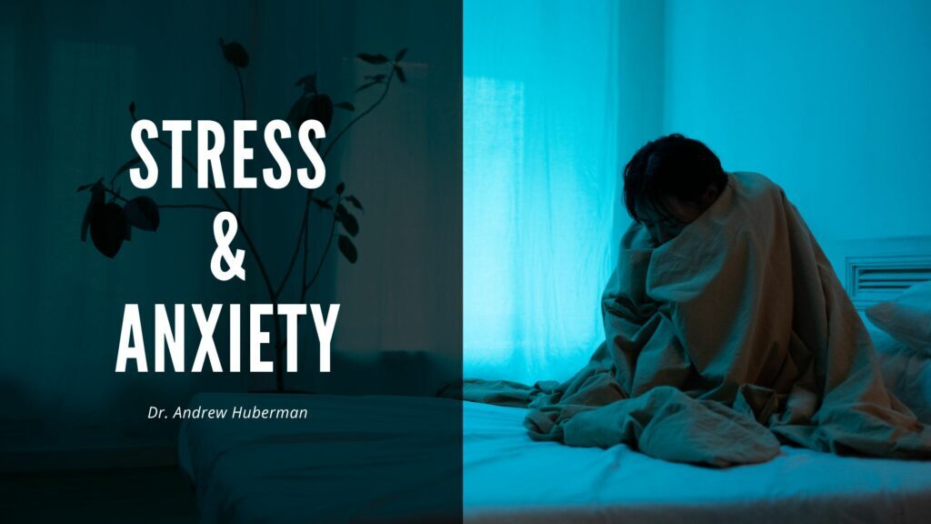 stress-andrew-huberman-1024x576-5290118