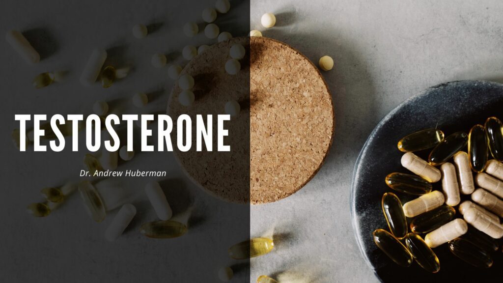 testosterone-andrew-huberman-1024x576-8384520