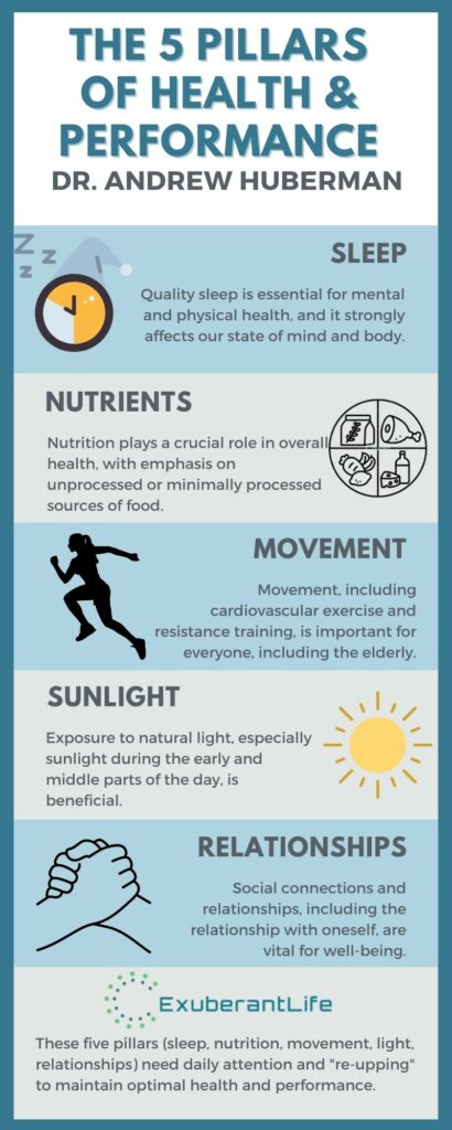 The 5 Pillars of Health and Performance by Andrew Huberman - Infographic