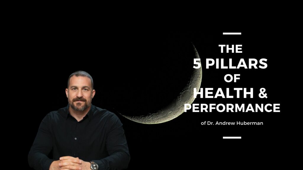 5 Pillars of Health and Performance by Andrew Huberman