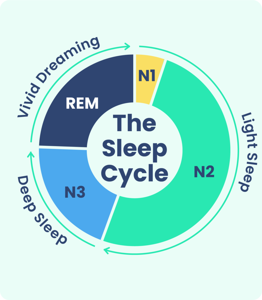 Stages of Sleep